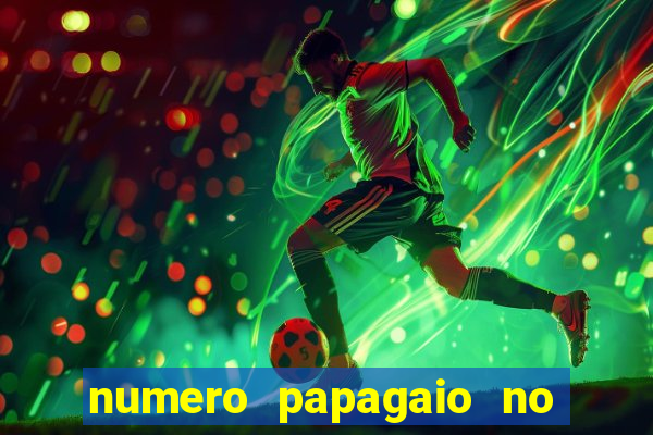 numero papagaio no jogo do bicho